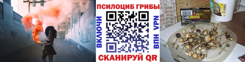 где найти наркотики  Ак-Довурак  Псилоцибиновые грибы MAGIC MUSHROOMS 